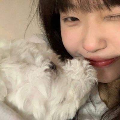 神龙猎手九游版本下载